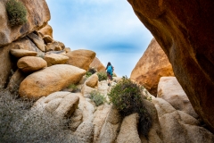 How to Find Arch Rock in Joshua Tree National Park - That Adventure Life