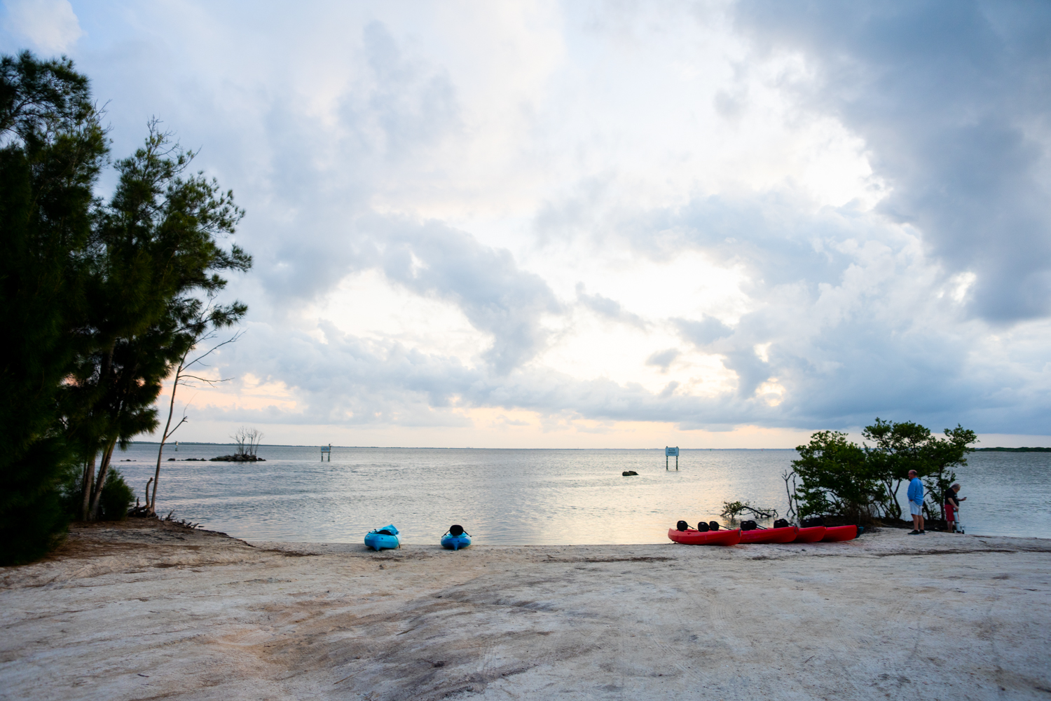 Bioluminescence Kayak Tour - Titusville, FL - That Adventure Life