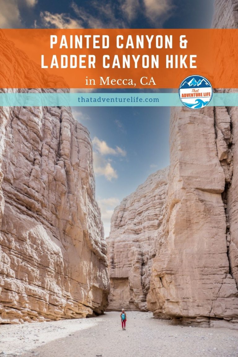 Painted Canyon and Ladder Canyon Hike, Mecca, California Pin