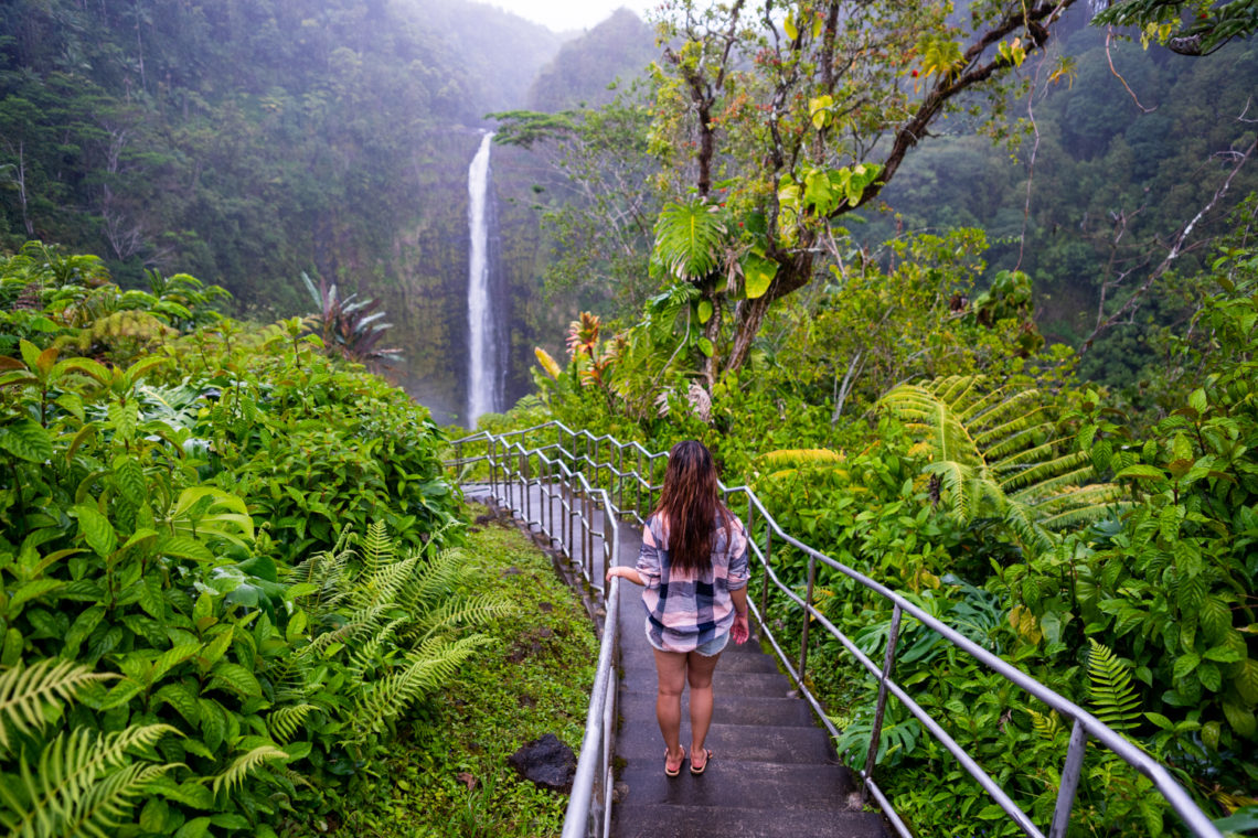 10 Best Trails and Hikes in Hilo