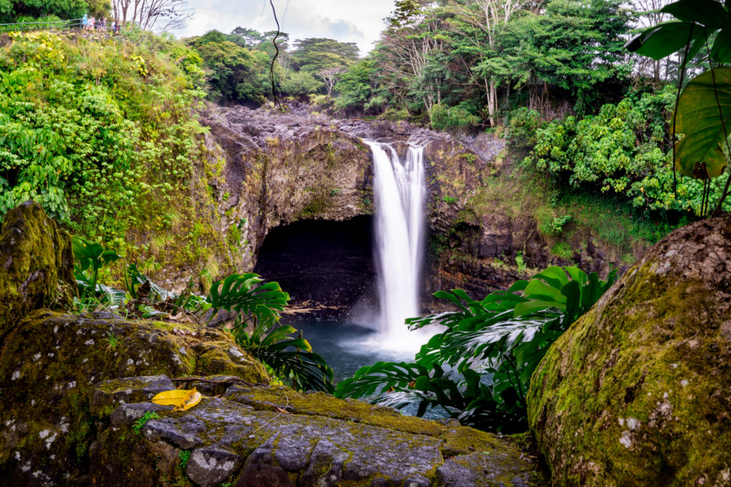 tours in hilo hawaii