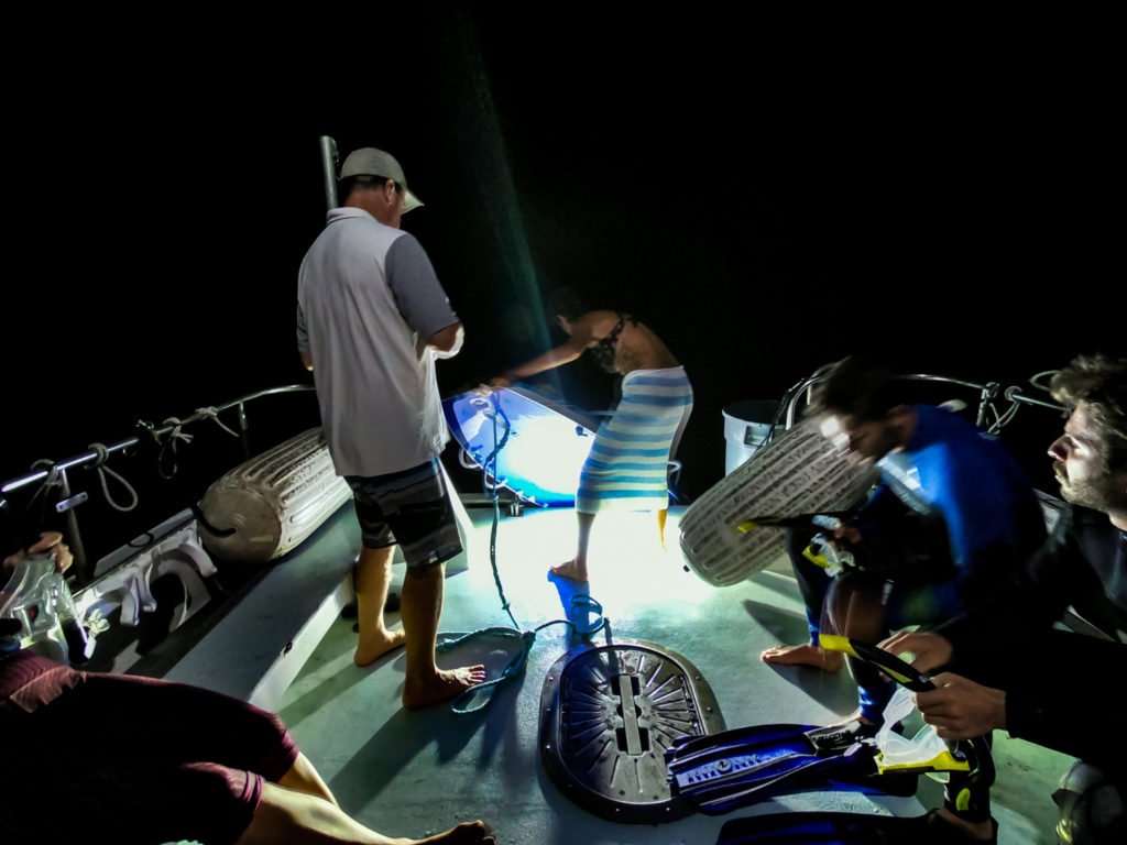 Late night Snorkel with Manta Rays with Big Island Divers, Kona