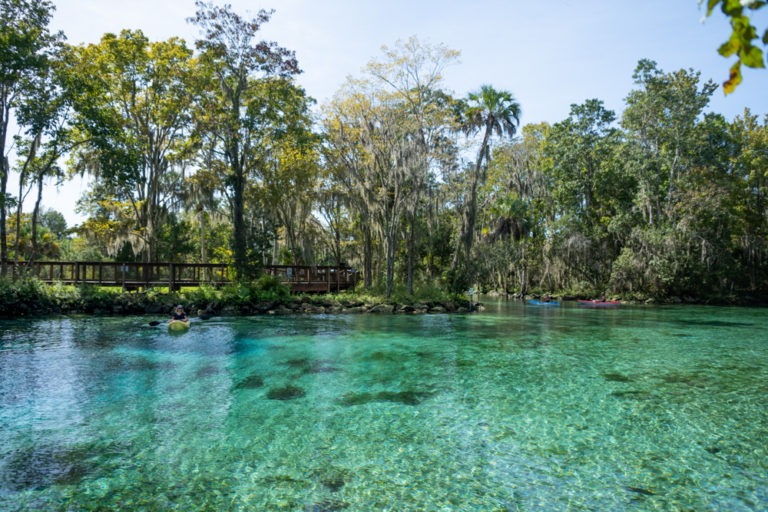 Swim with the Manatees in Three Sisters Springs, Crystal River, FL ...