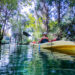 Kayak and Swim with the manatees at Three Sisters Springs, Crystal River, FL