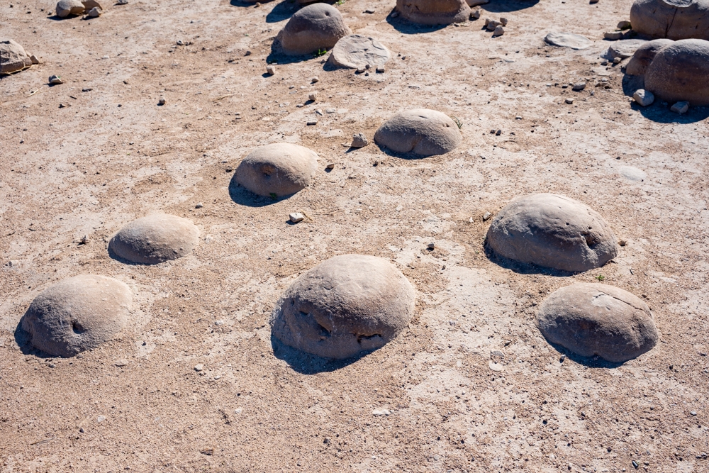 "Pumpkin" rocks are emerging from the sand in the Pumpkin Patch in Anza Borrego.