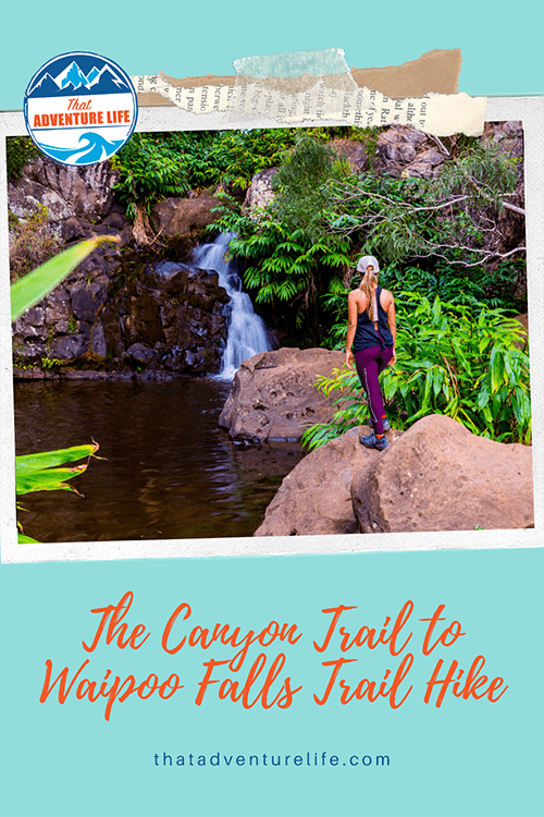 Waimea Canyon Trail to Waipoo Falls Pinterest version 1