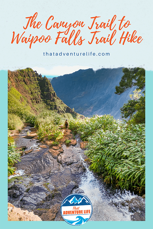 Waimea Canyon Trail to Waipoo Falls Pinterest version 2