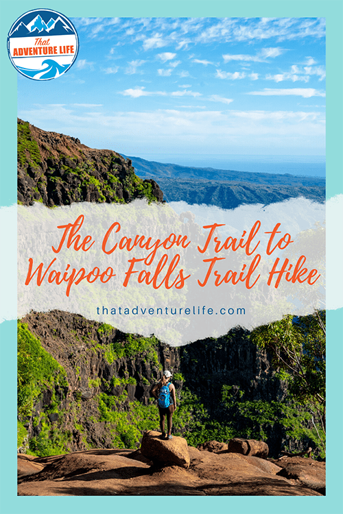 Waimea Canyon Trail to Waipoo Falls Pinterest version 3