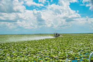 Airboat Ride with Wild Willy's Airboat Ride