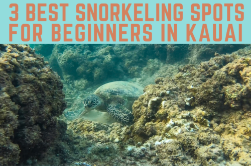 3 best snorkeling spots in Kauai for beginners