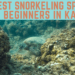 3 best snorkeling spots in Kauai for beginners