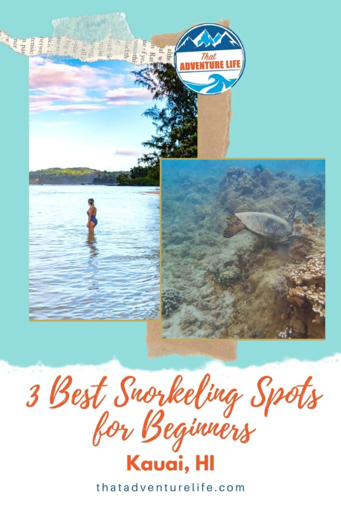 3 Best Snorkeling Spots in Kauai for Beginners Pin 1