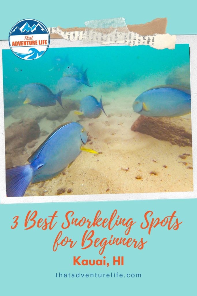 3 Best Snorkeling Spots in Kauai for Beginners Pin 2