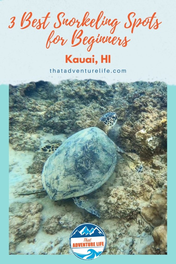 3 Best Snorkeling Spots in Kauai for Beginners Pin 3