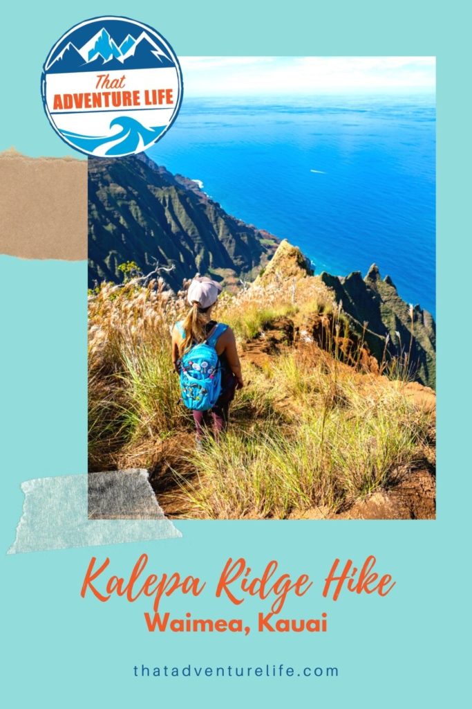 Kalepa Ridge Trail - Waimea Canyon, Kauai Pin 1