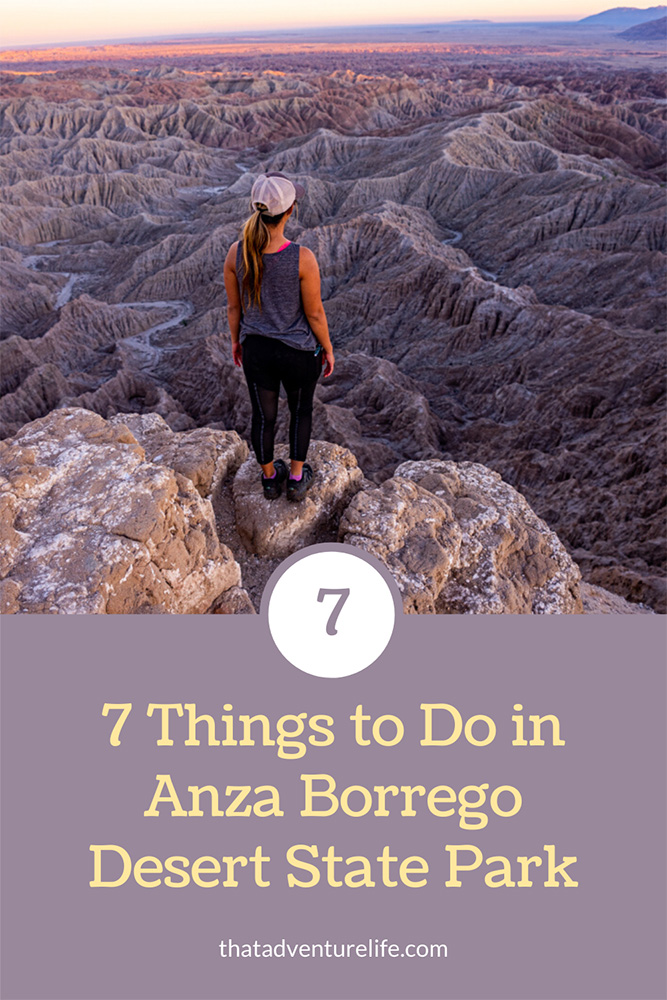 7 Things to Do in Anza Borrego Desert State Park Pin 3