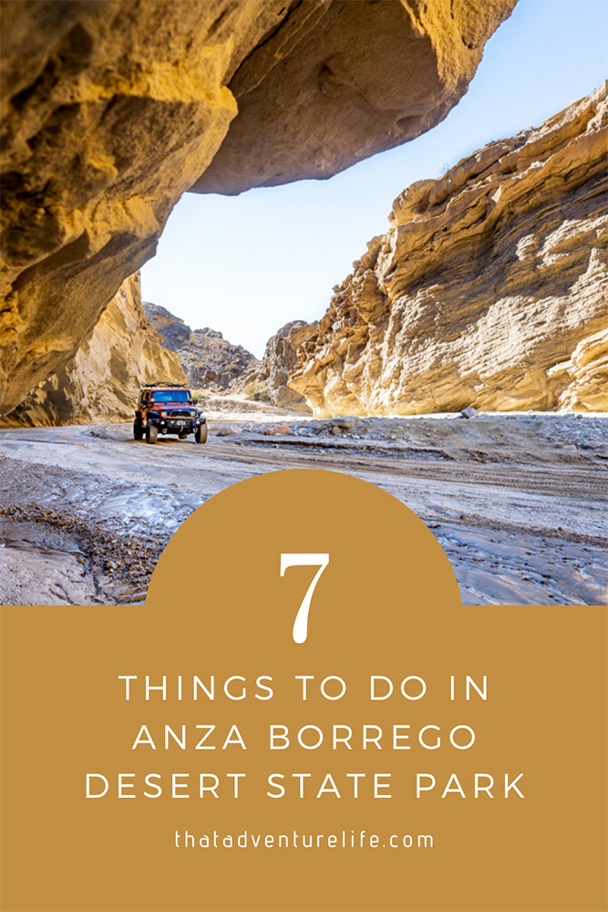 7 Things to Do in Anza Borrego Desert State Park Pin 1