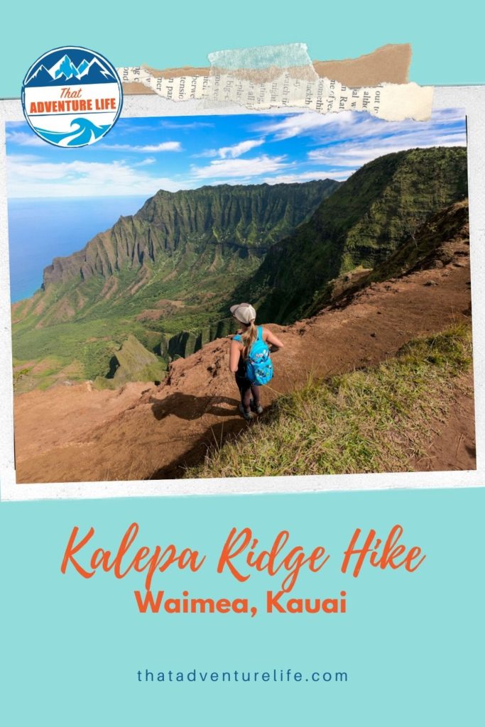 Kalepa Ridge Trail - Waimea Canyon, Kauai Pin 2