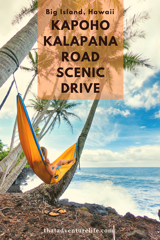 Kapoho Kalapana Road Scenic Drive (Route 137) - Big Island, HI Pin 3