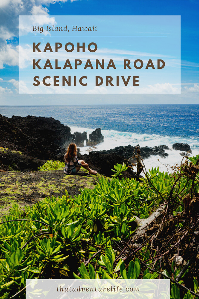 Kapoho Kalapana Road Scenic Drive (Route 137) - Big Island, HI Pin 1