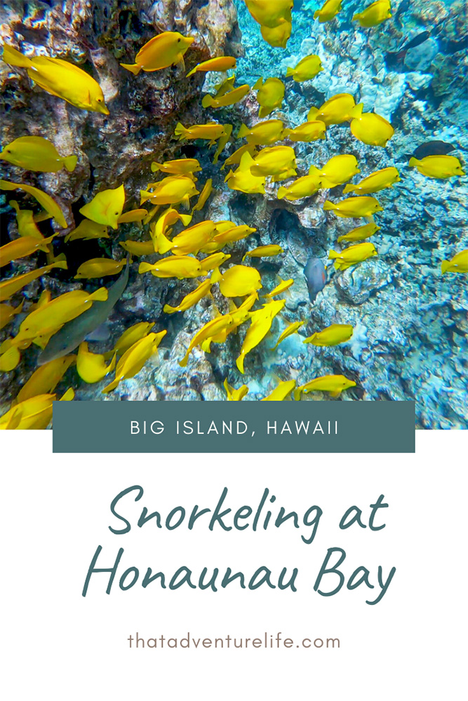 Snorkeling at Honaunau Bay or Two Step - Big Island, HI Pin 3