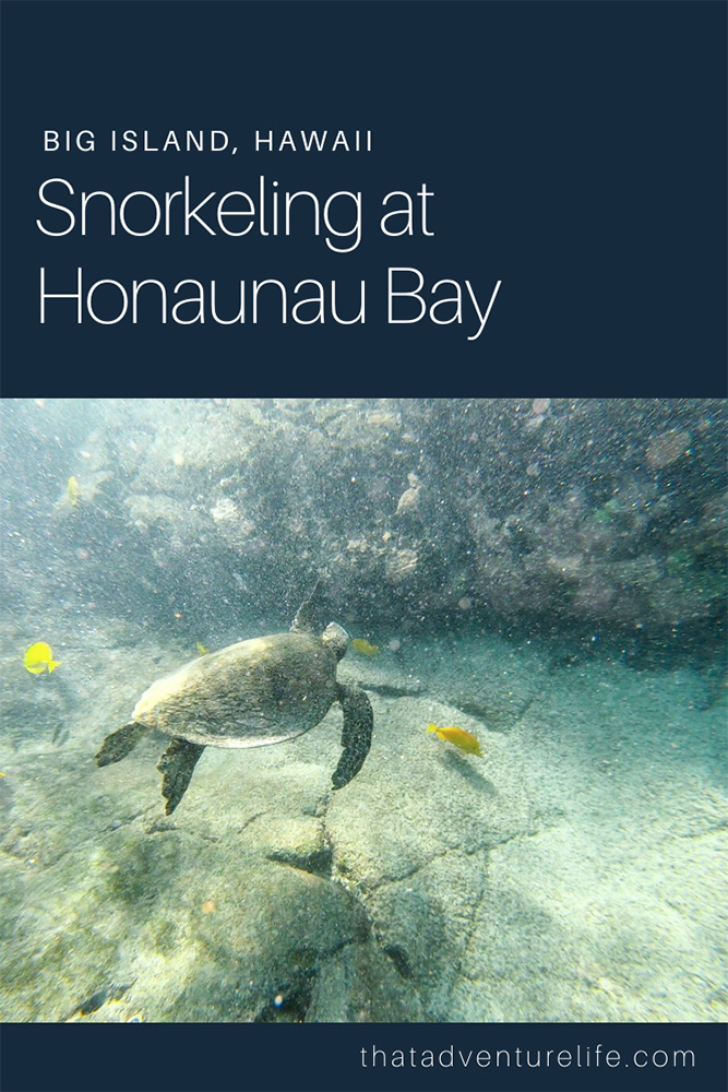 Snorkeling at Honaunau Bay or Two Step - Big Island, HI Pin 2