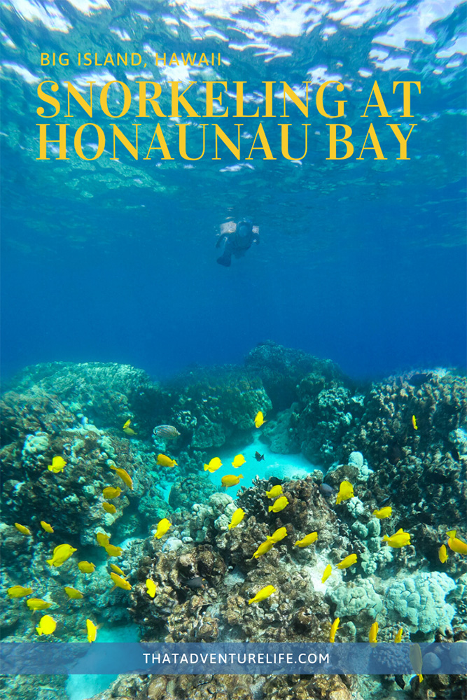 Snorkeling at Honaunau Bay or Two Step - Big Island, HI Pin 1