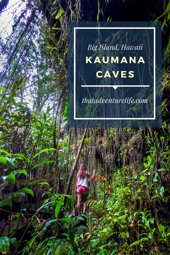 Kaumana Caves - Hilo, Big Island Pin  2