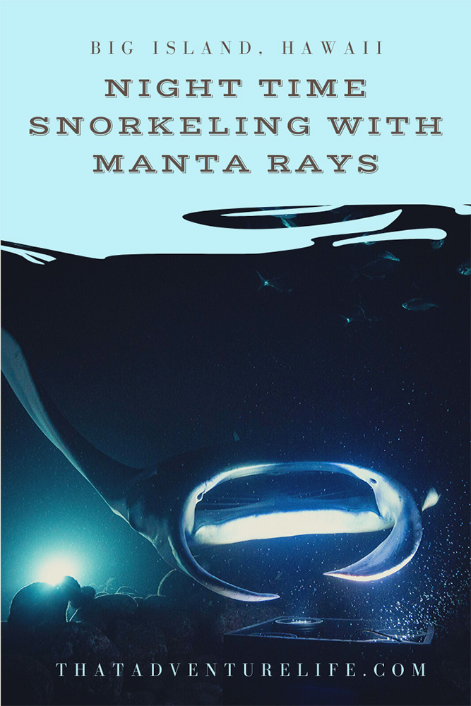 Night Time Snorkel with Manta Rays in Big Island, Hawaii Pin 2