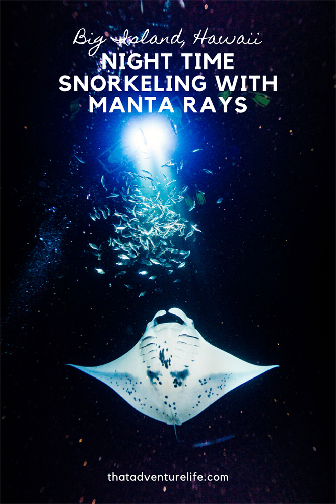 Night Time Snorkel with Manta Rays in Big Island, Hawaii Pin 1