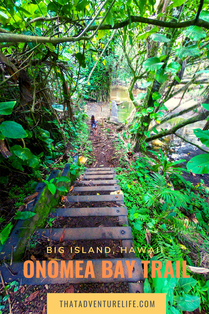 Onomea Bay Trail - Big Island, HI pin 3