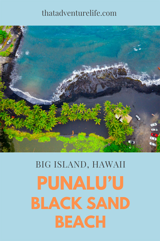 Punalu'u Black Sand Beach  - Big Island, Hawaii Pin 2