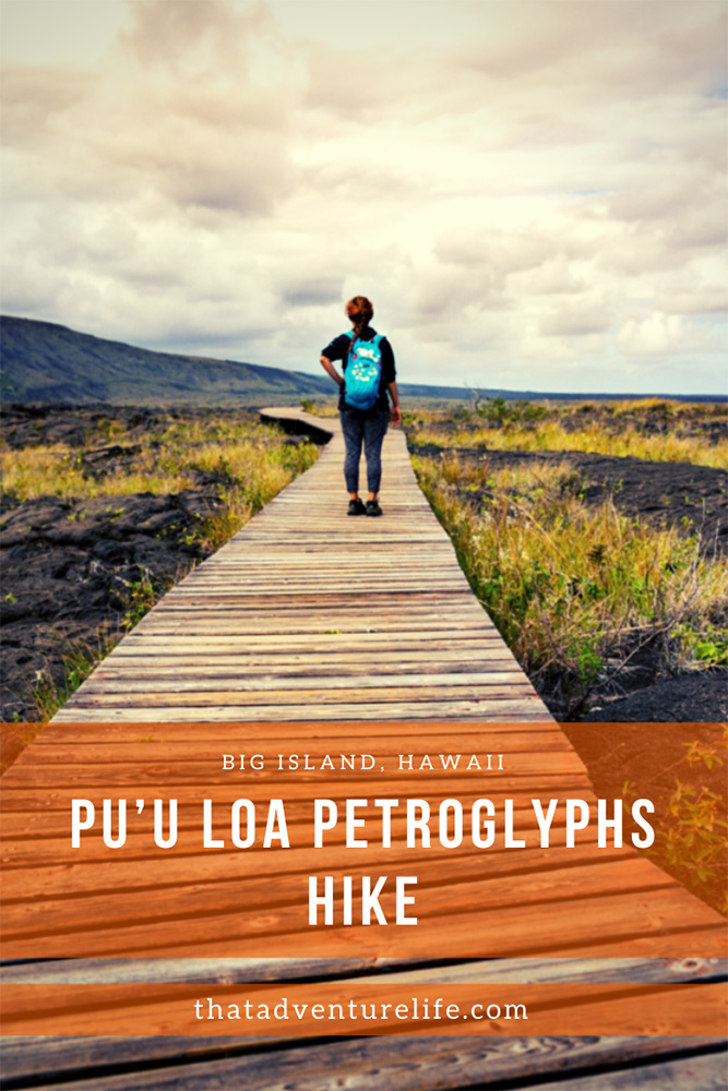 Pu’u Loa Petroglyphs Hike - Volcanoes National Park, Big Island, HI Pin 3