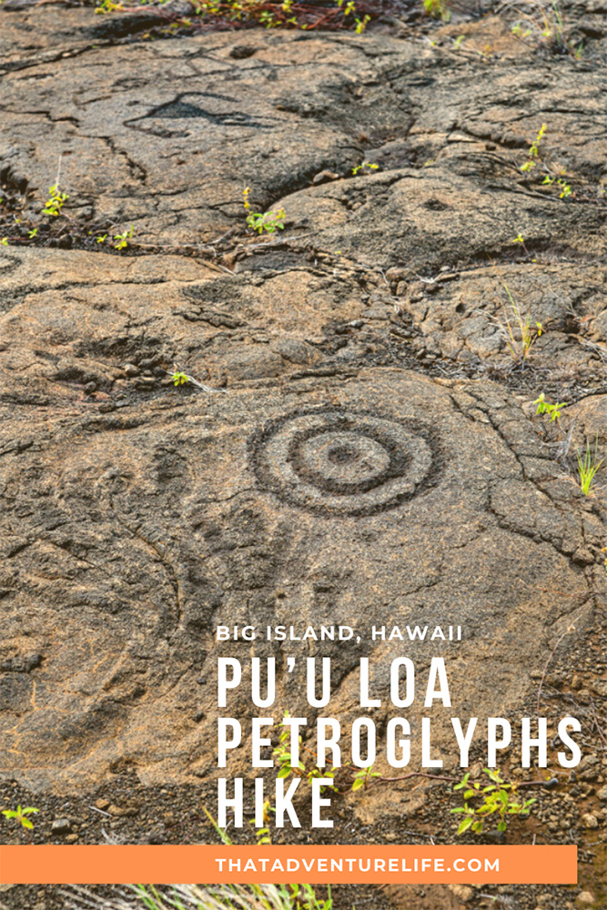 Pu’u Loa Petroglyphs Hike - Volcanoes National Park, Big Island, HI Pin 1