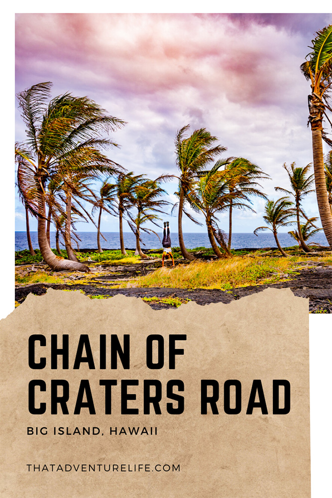 Chain of Craters Road - Hawaii Volcanoes National Park, HI Pin  2