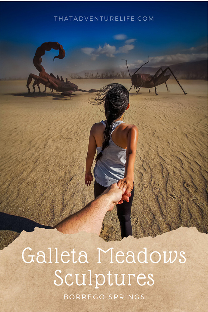 Exploring Galleta Meadows Sculptures- Borrego Springs Pin 1