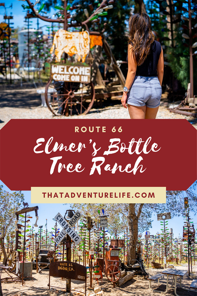 Elmer's Bottle Tree Ranch - Route 66, CA Pin 2