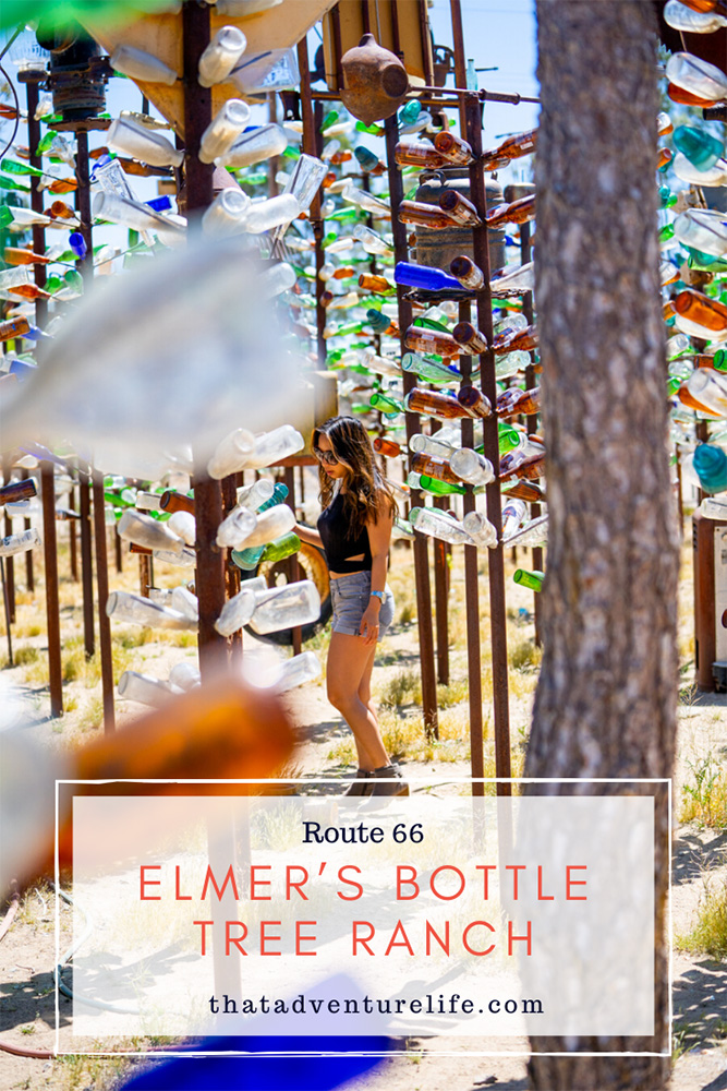 Elmer's Bottle Tree Ranch - Route 66, CA Pin 1