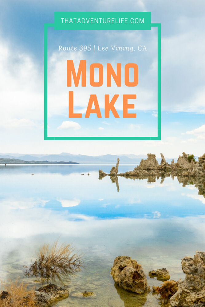 Mono Lake along Route 395, Lee Vining, CA Pin 1