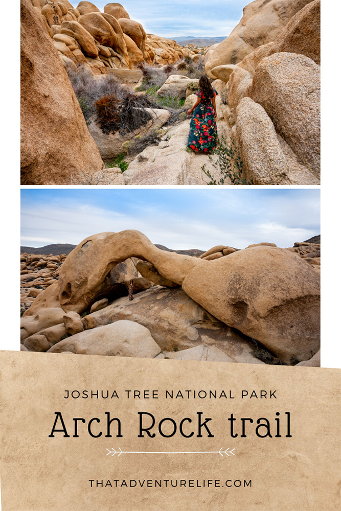 Arch Rock Trail - Joshua Tree National Park, CA Pin 3
