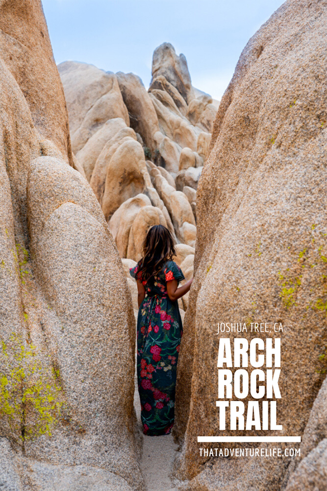 Arch Rock Trail - Joshua Tree National Park, CA Pin 1