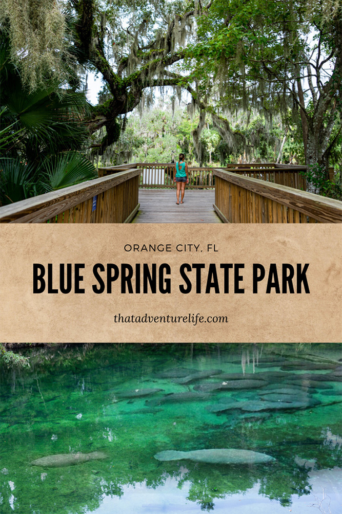 Blue Spring State Park, Orange City, FL Pin 2