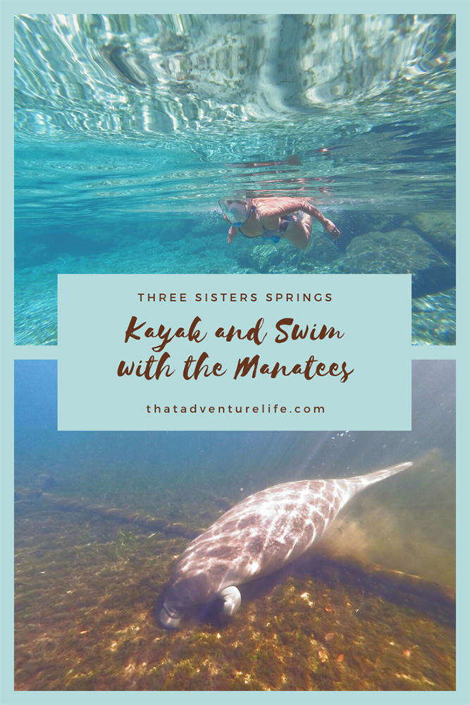 Swim with the Manatees in Three Sisters Springs, Crystal River, FL