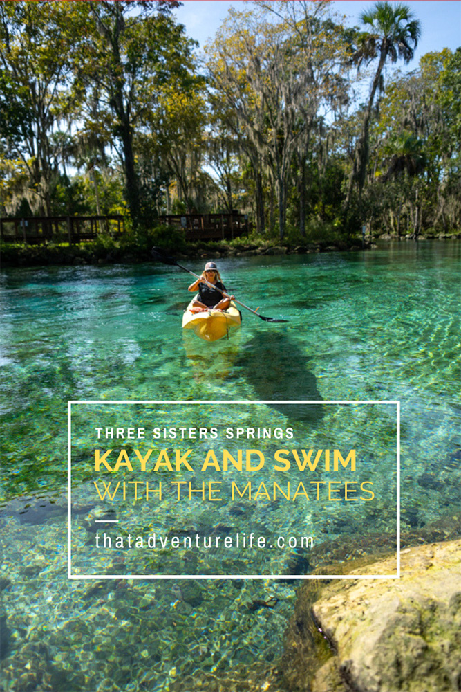 Swim with the Manatees in Three Sisters Springs, Crystal River, FL