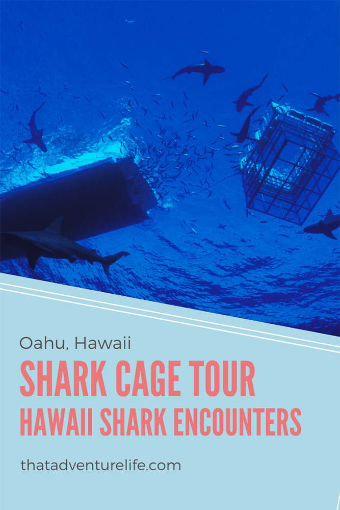 Shark Cage Tour with Hawaii Shark Encounters on North Shore, Oahu Pin 3