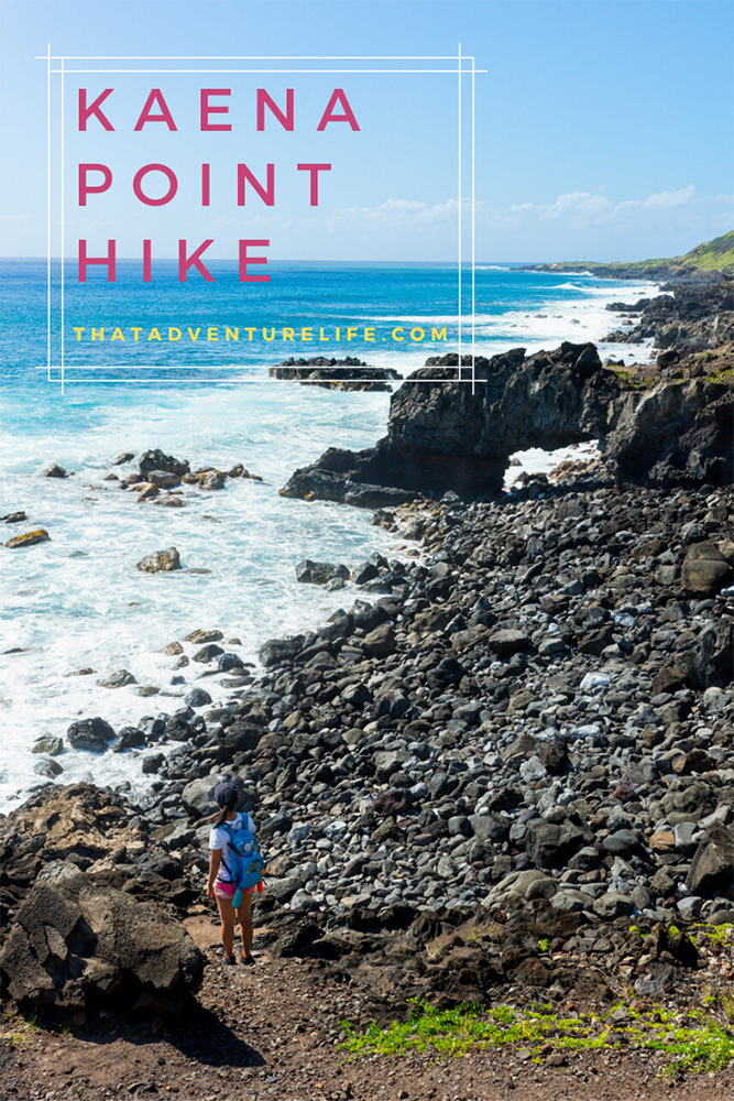 Kaena Point Hike (Waianae route) - Oahu, Hawaii Pin 3