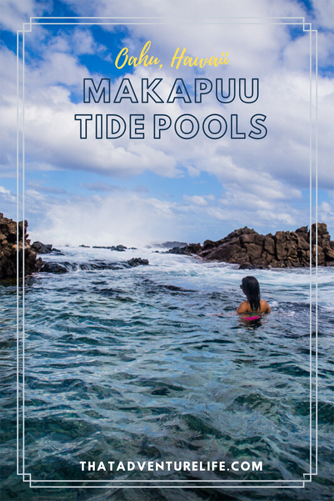 Makapuu Tide Pools in Oahu, Hawaii Pin 3