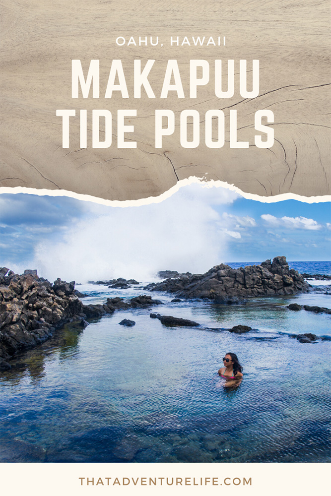 Makapuu Tide Pools in Oahu, Hawaii Pin 2