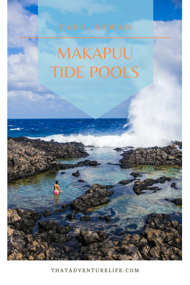Makapuu Tide Pools in Oahu, Hawaii Pin 1