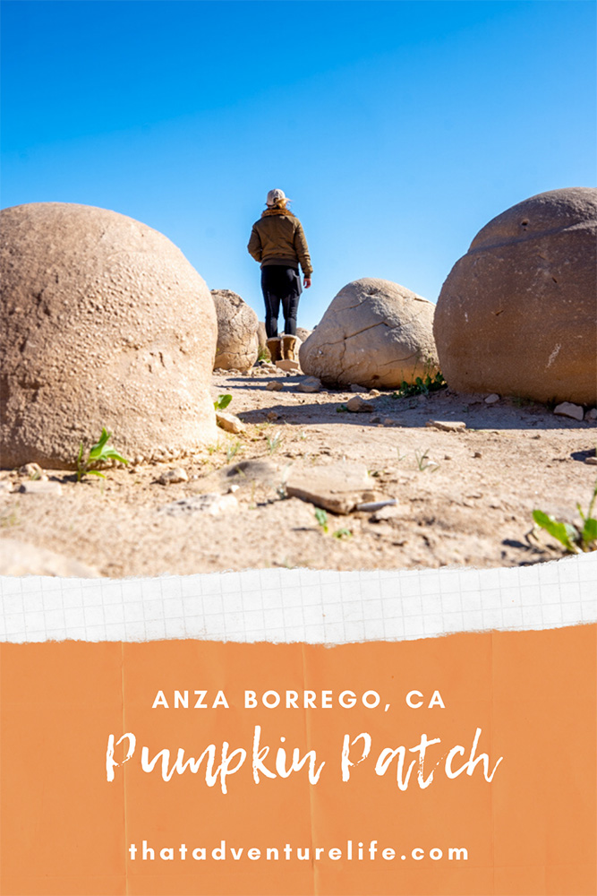 Pumpkin Patch - Anza Borrego Desert State Park, CA Pin 2